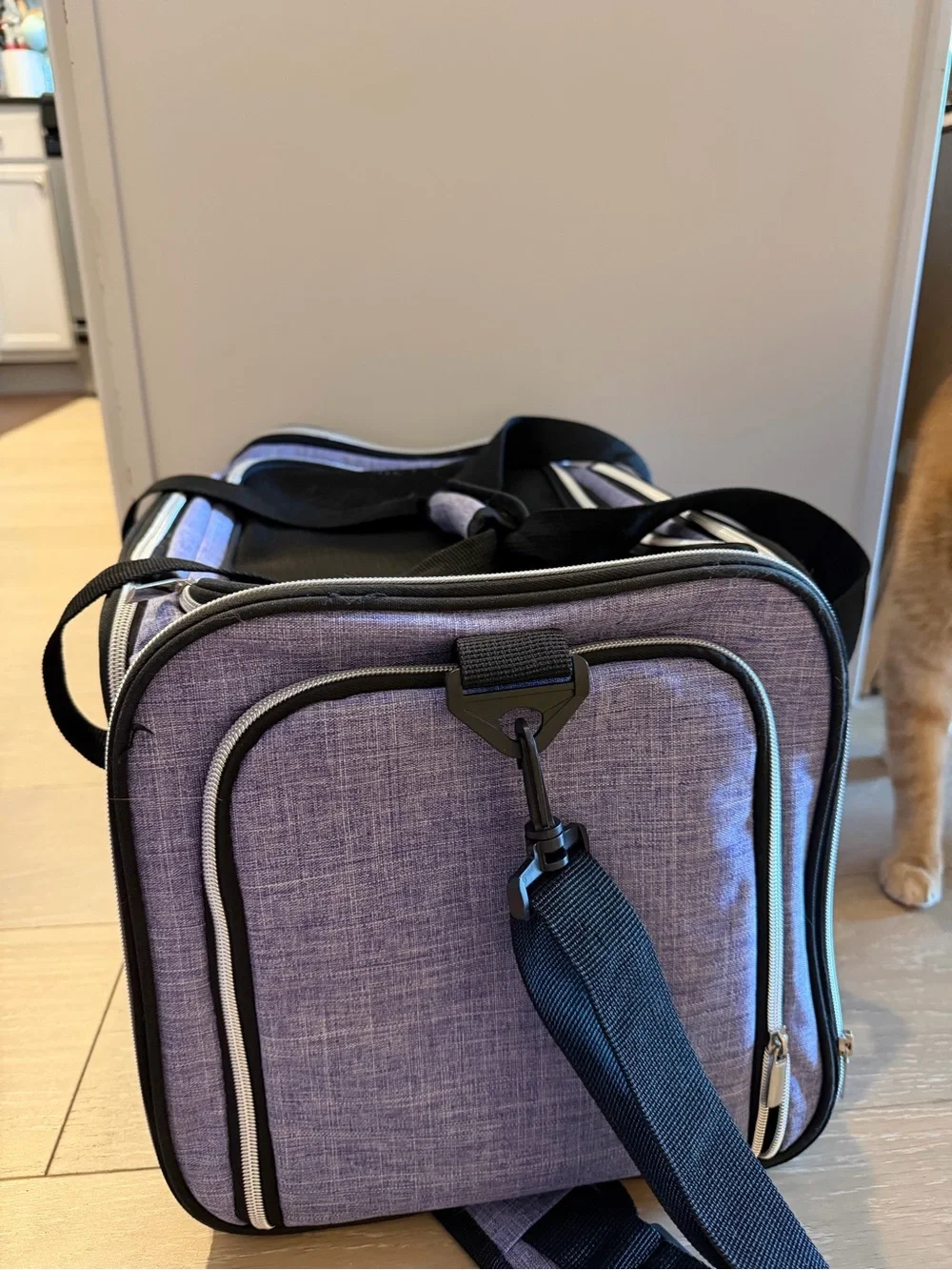 Portable Black Cat Carrier Soft-Sided Pet Travel Bag